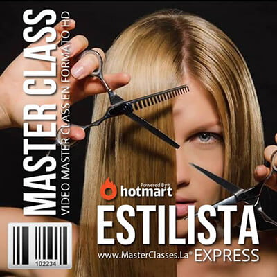 programa estilista express by reverso academy cursos master classes online