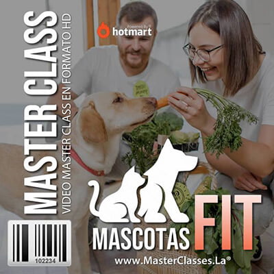 Mascotas-fit-by-reverso-academy-cursos-online-clases