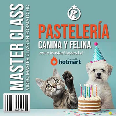 pasteleria-canina-y-felina-by-reverso-academy-cursos-online-clases